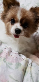 A3953032-5ABA-4416-BFBD-60EA67FB887C.jpeg