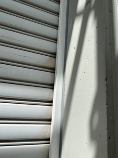 05EE7260-A71E-4A94-9503-2B4A5DE6B5A0.jpeg