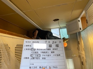 72762D43-8CED-4F40-A628-D90C20A2CC92.jpeg