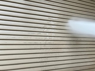 IMG_7436.jpeg